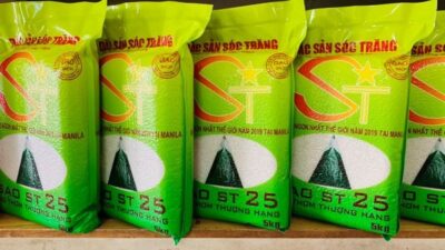 Gạo Hút Chân Không Để Được Bao Lâu? Giải Đáp Chi Tiết