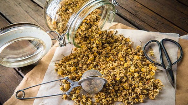 Hướng Dẫn Cách Sấy Hoa Cúc Làm Trà Đơn Giản Tại Nhà 15 Cách bảo quản trà hoa cúc