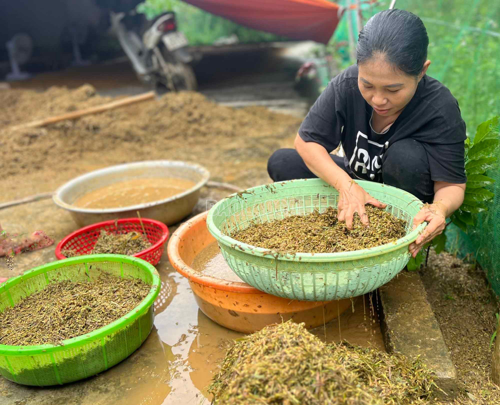 Đãi thóc và sơ chế nguyên liệu