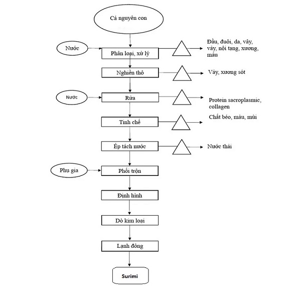 Quy Trình Sản Xuất Surimi Chi Tiết Từ Nguyên Liệu Đến Thành Phẩm 8 Quy trình sản xuất Surimi chi tiết từng bước