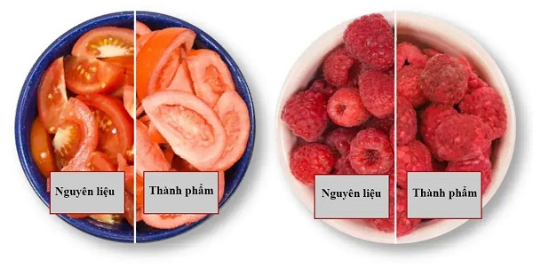 So Sánh Sấy Thăng Hoa Và Sấy Lạnh: Ưu Nhược Điểm Chi Tiết 11 Ưu nhược điểm của phương pháp sấy thăng hoa