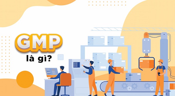 GMP là gì?