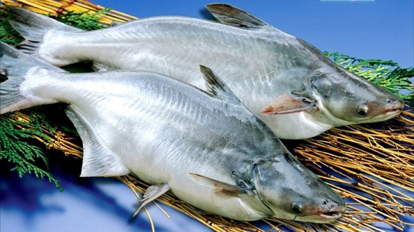 Các Basa - Nguyên liệu làm chả cá basa