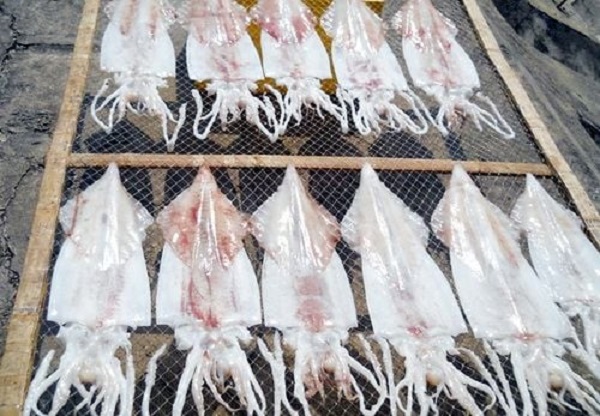 Giai đoạn 3: Phơi/sấy mực