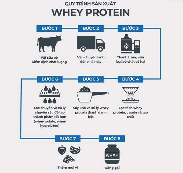 Quy trình sản xuất Whey Protein chi tiết từng bước