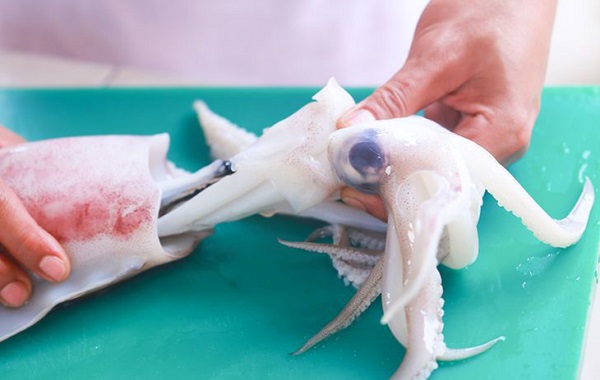 Giai đoạn 2: Sơ chế và làm sạch mực tươi