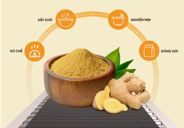 Quy trình sản xuất bột gừng từng bước từ A-Z