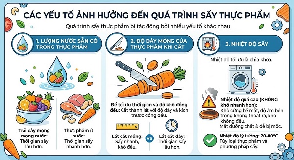 Cách Sử Dụng Máy Sấy Thực Phẩm Hiệu Quả, An Toàn 5 Có những yếu tố nào ảnh hưởng đến quá trình sấy thực phẩm?