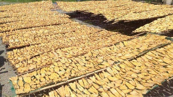 Sắp xếp và sấy măng