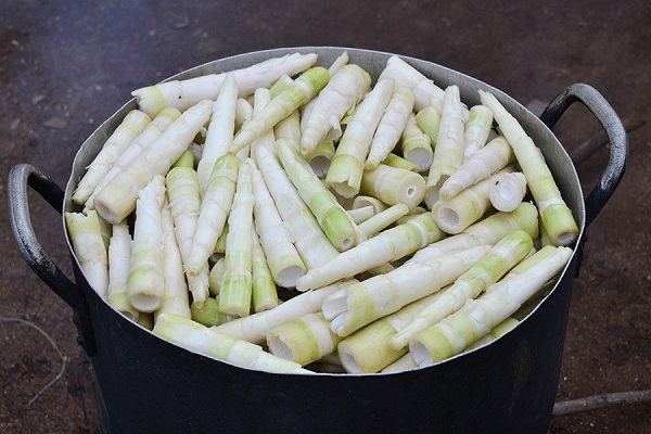 Sơ chế măng tươi