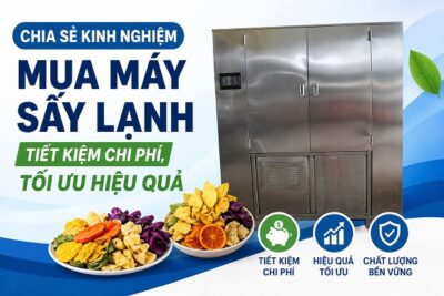 Chia Sẻ Kinh Nghiệm Mua Máy Sấy Lạnh Tiết Kiệm Chi Phí, Tối Ưu Hiệu Quả